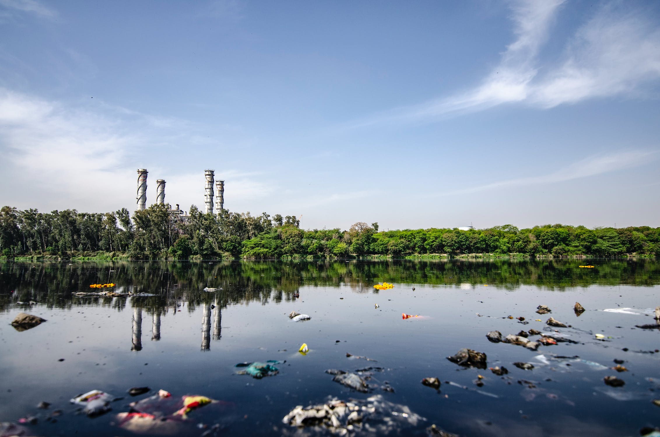 Polluted coastal water