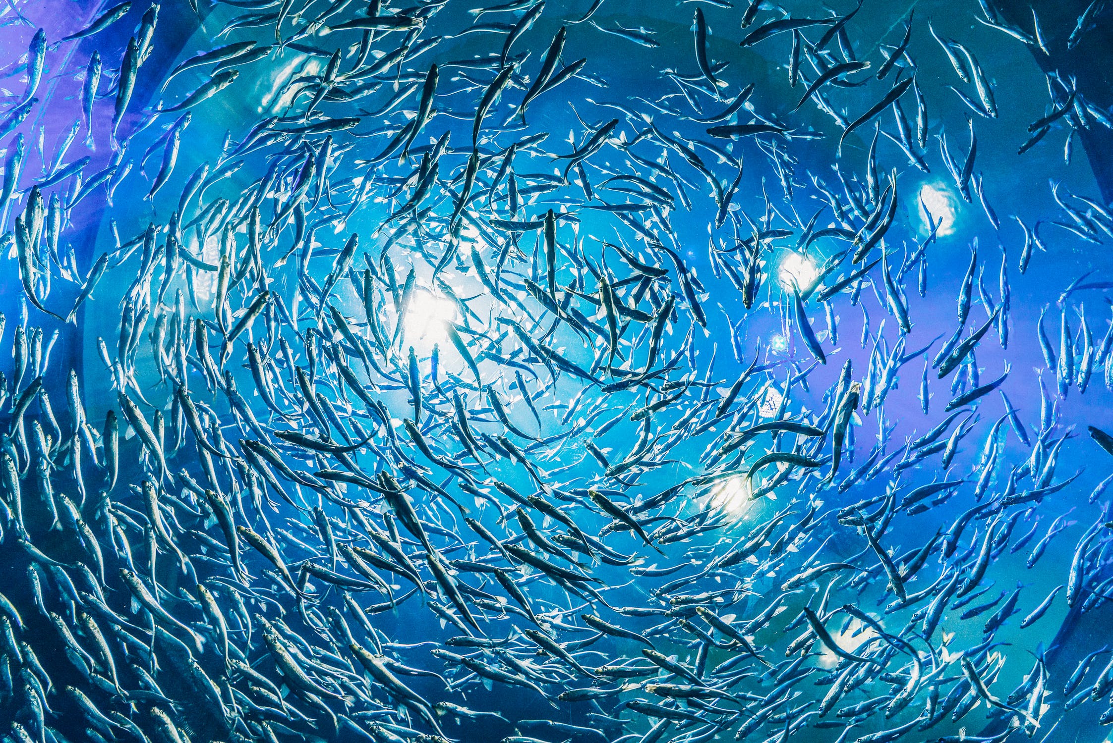 Open ocean