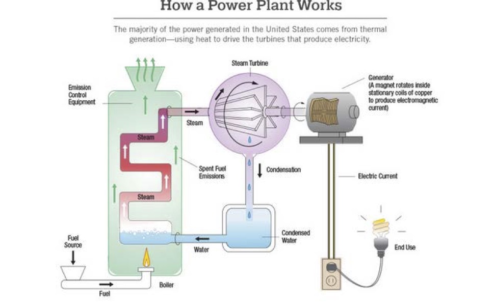 Diagram titled How a Power Plant Works: fuel burns in a boiler, steam rises through emission control equipment to a steam turbine, which spins a generator; steam condenses back to water and returns to the boiler, while electric current runs to an end use.