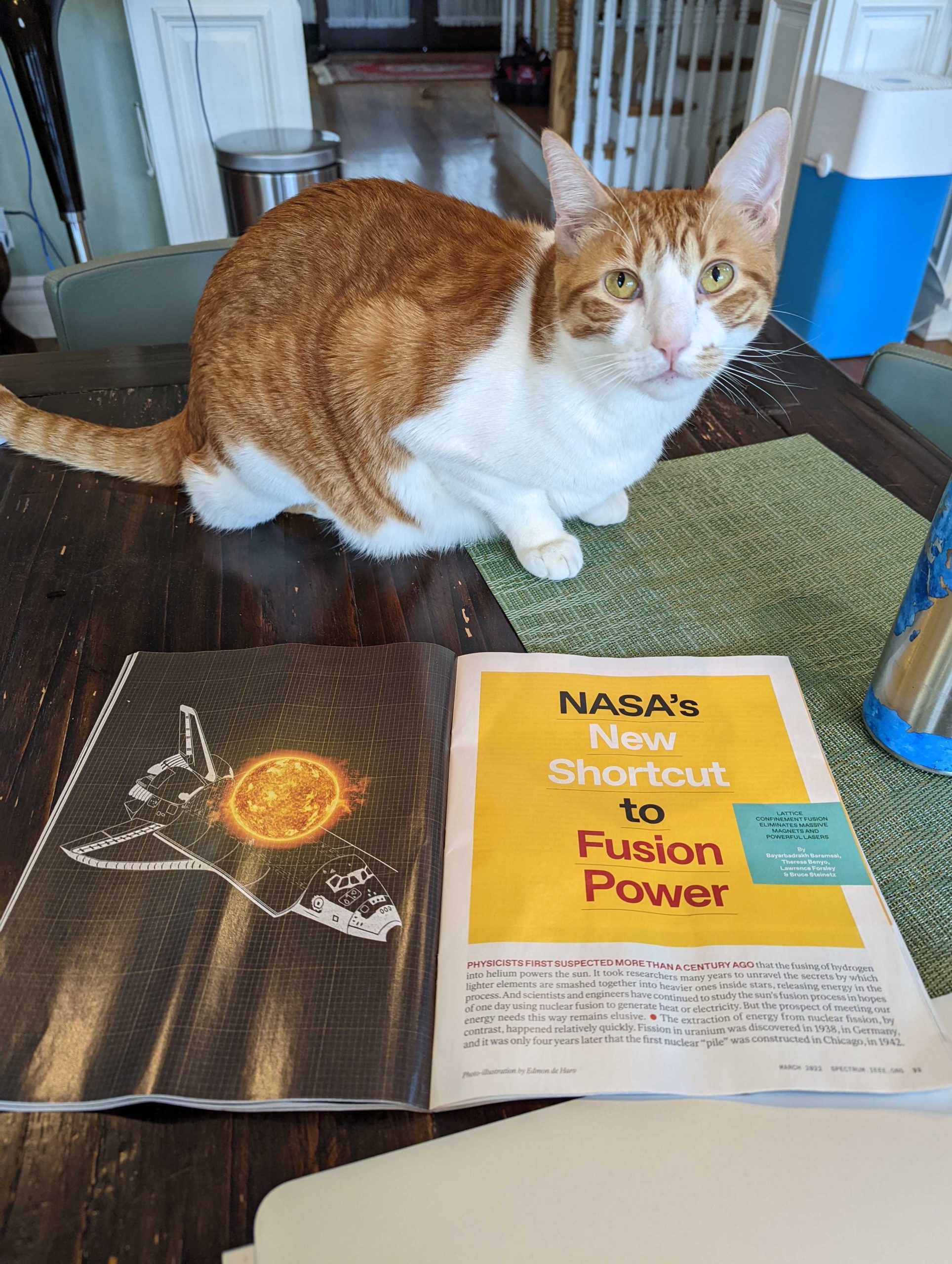 A ginger and white cat standing over a printed copy of a NASA fusion power article
