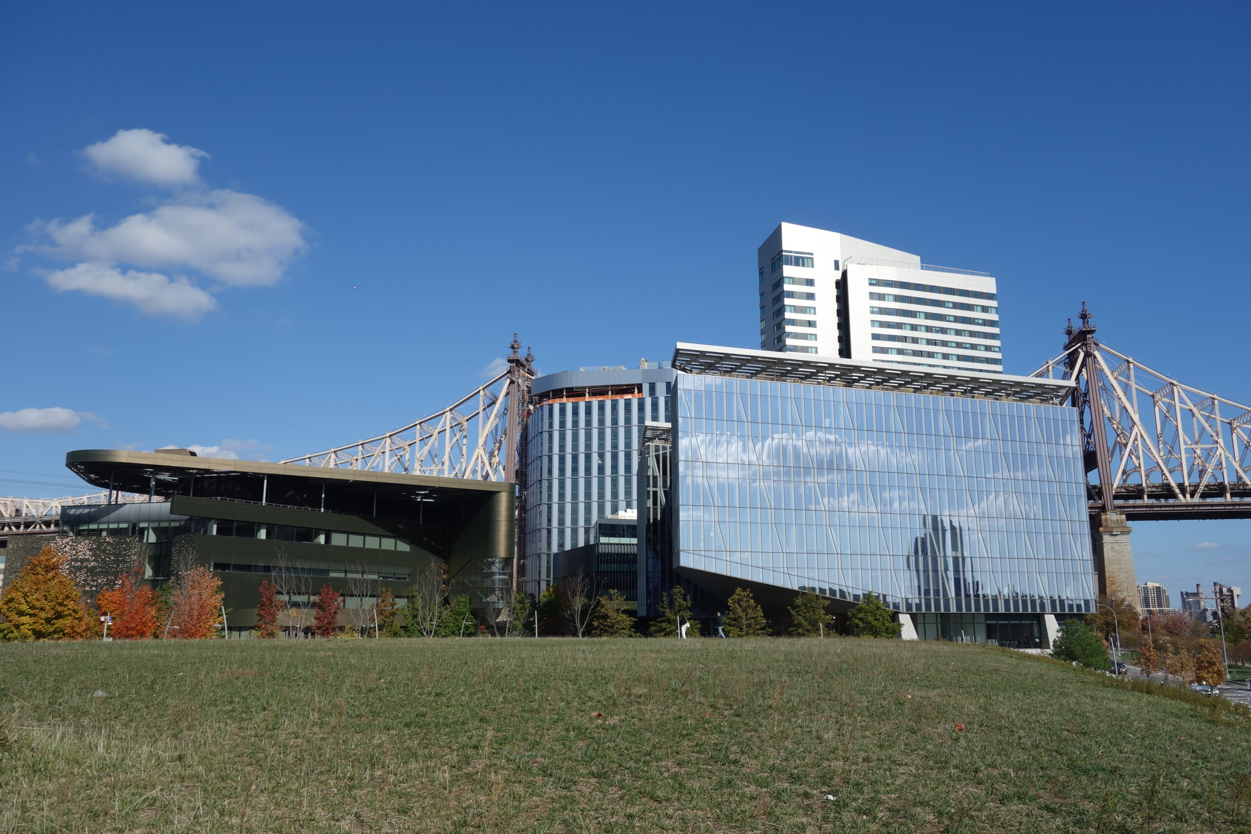 A lawn beside the East River in New York with the Queensboro Bridge behind